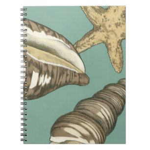 Caderno Espiral Pequena Shell Trio no Teal