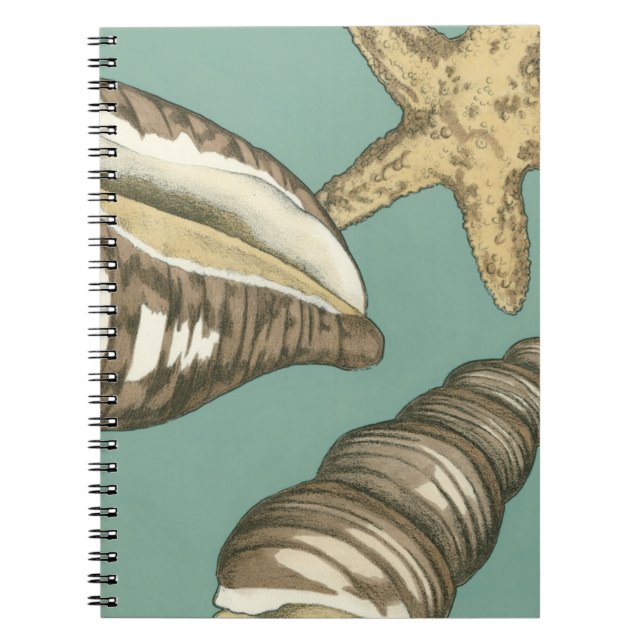 Caderno Espiral Pequena Shell Trio no Teal (Frente)