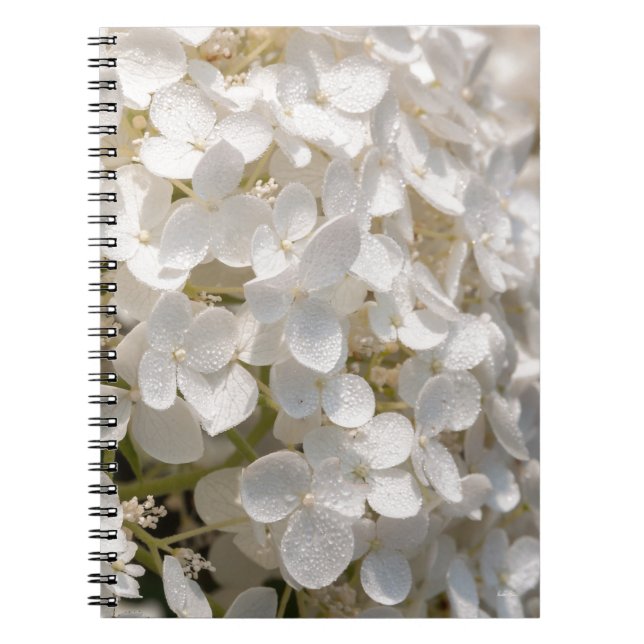Caderno Espiral Pequenas flores brancas (Frente)