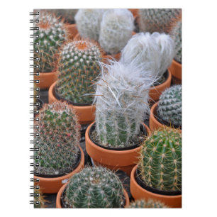 Caderno Espiral Pequenas plantas de cacto