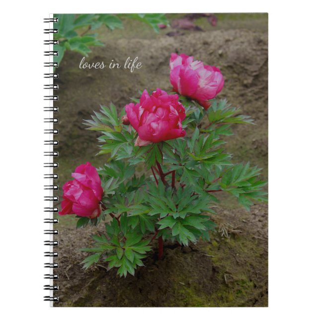 Caderno Espiral Pequeno Peony Bush (Frente)