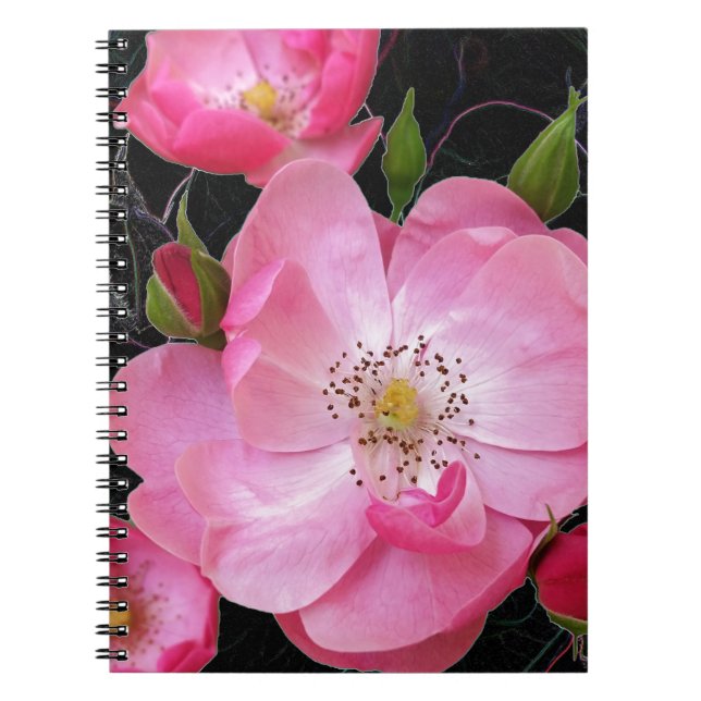 Caderno Espiral pequeno rosebud abre (Frente)