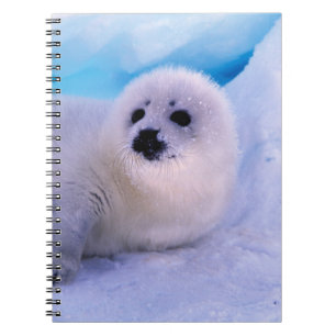 Caderno Espiral Pequeno Selo de Harp Coberto em Flocos de Neve
