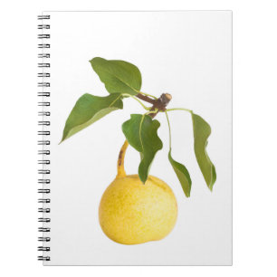 Caderno Espiral Pera selvagem