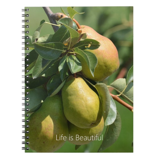 Caderno Espiral Pêras Fruta (minha fotografia) (Frente)