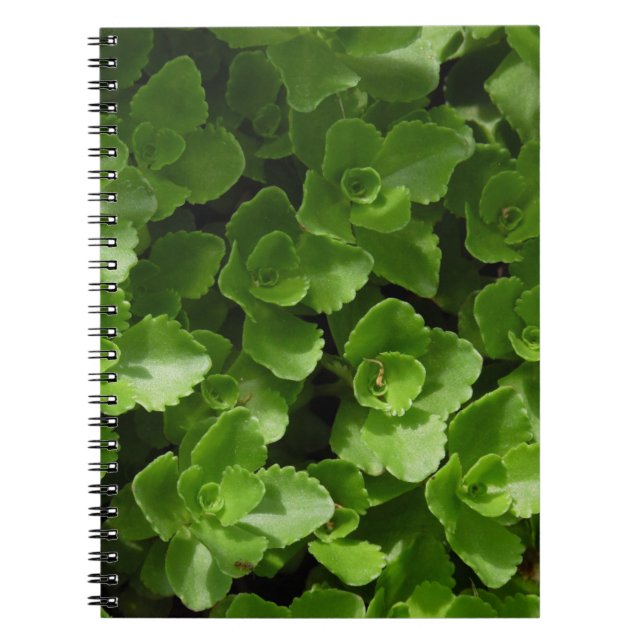Caderno Espiral Perdida em Folhas (Frente)