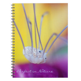 Caderno Espiral Perfeito na Natureza