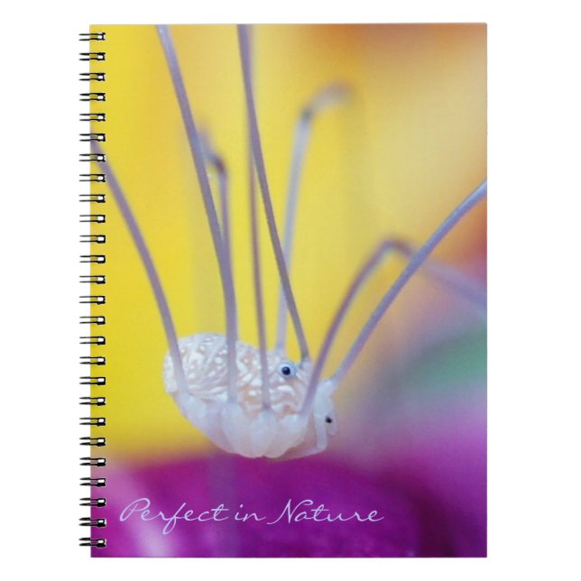 Caderno Espiral Perfeito na Natureza (Frente)