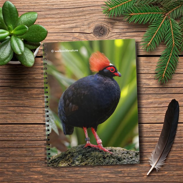 Caderno Espiral Perfil de um Partucho de Madeira Deitada em Rota R (Profile of a Roul-Roul Wood Crested Partridge Journal Cover Photo)
