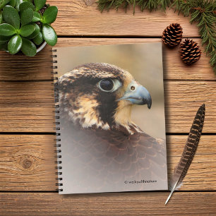 Caderno Espiral Perfil Vignetado de um Falcão Peregrino