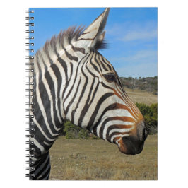 Caderno Espiral Perfil Zebra de Hartmann em Fossil Rim