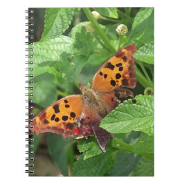 Caderno Espiral Pergunta sobre Borboleta de Lantana
