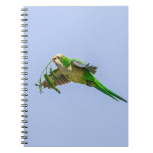 Caderno Espiral Periquito Monk no Vale do Rio Grande
