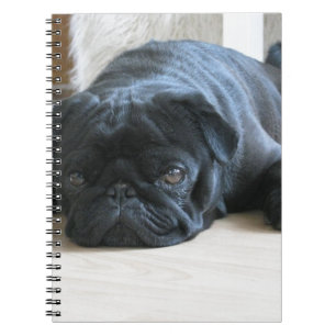 Caderno Espiral Personalizar o nome dos acessórios do Pug Puppy p