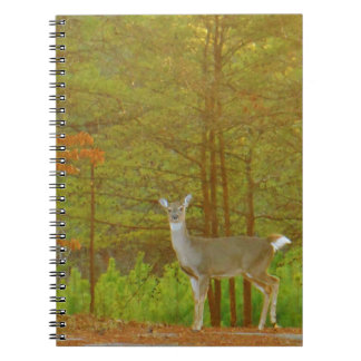 Caderno Espiral Personalizar produto