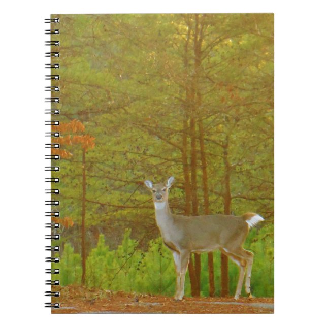 Caderno Espiral Personalizar produto (Frente)