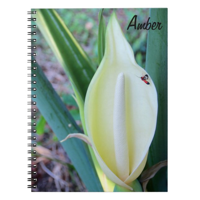 Caderno Espiral Personalize a foto da flor da orelha de elefante (Frente)