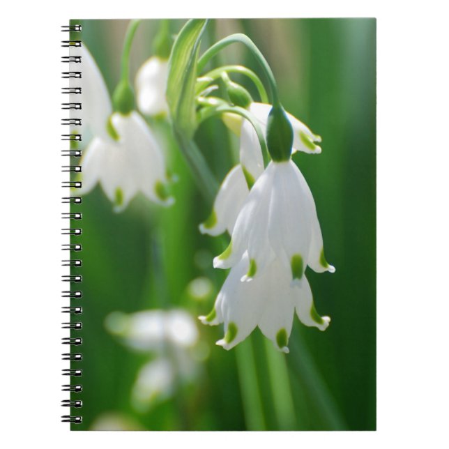 Caderno Espiral Personalize o produto (Frente)