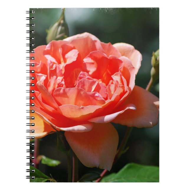 Caderno Espiral Personalize o produto (Frente)