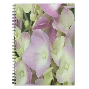 Caderno Espiral Pétalas de Hydrangea, Cor-de-Rosa, Branca Antiquad