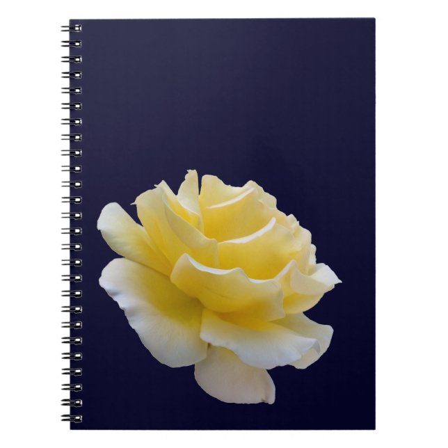 Caderno Espiral Pétalas de rosa amarela (Frente)