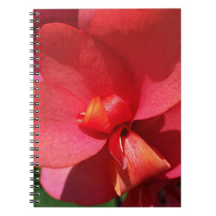Caderno Espiral pétalas vermelhas brilhantes