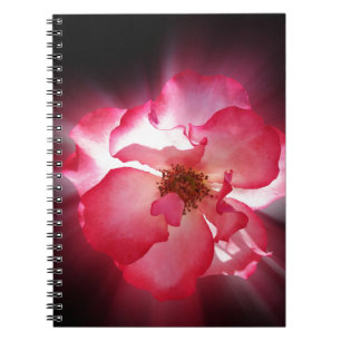 Caderno Espiral pétalas vermelhas claras