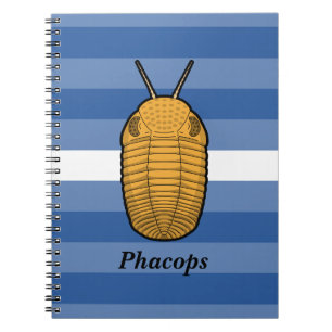 Caderno Espiral Phacops Trilobite - Animal Pré-Histórico
