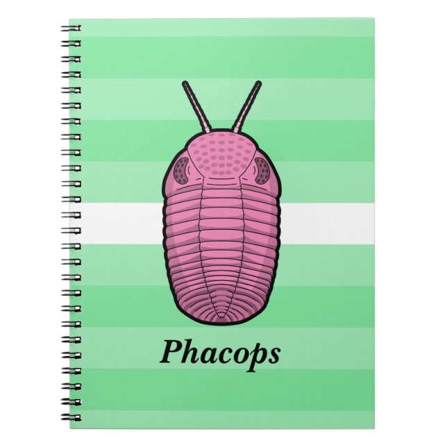 Caderno Espiral Phacops Trilobite - Animal Pré-Histórico (Frente)