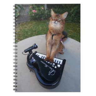 Caderno Espiral Piano Cat, Engraçado Músico Gato Somali Jogando 