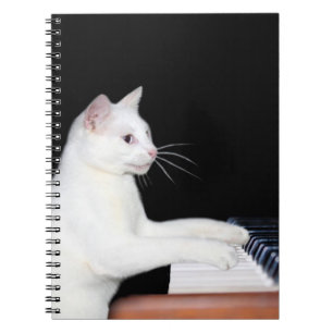 Caderno Espiral Piano que joga o gato
