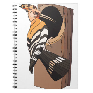 Caderno Espiral pica-pau