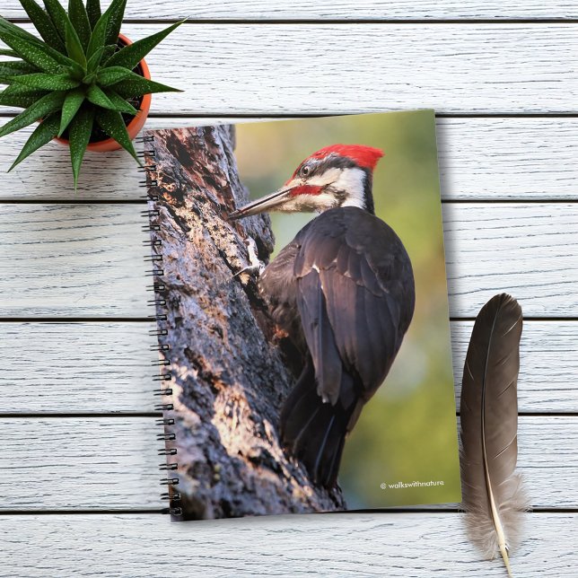 Caderno Espiral Pica-pau bonito de Pileated na árvore (Pileated Woodpecker on the Tree Journal Cover Photo)