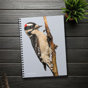 Caderno Espiral Pica-pau Doce Bonito na árvore Fruta
