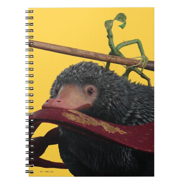 Caderno Espiral Pickett e Ursinho com Wand e Tie (Frente)
