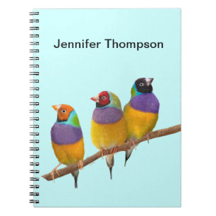 Caderno Espiral Picos Coloridos Gouldian em Pastéis