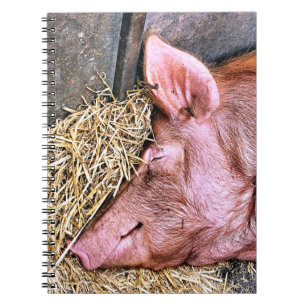 CADERNO ESPIRAL PIG CUTO