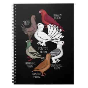 Caderno Espiral Pigeon Breve King Pigeon Homens Pombos