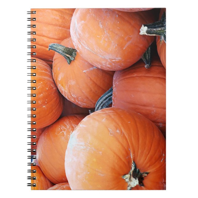 Caderno Espiral Pilha de Abóbora Queda (Frente)