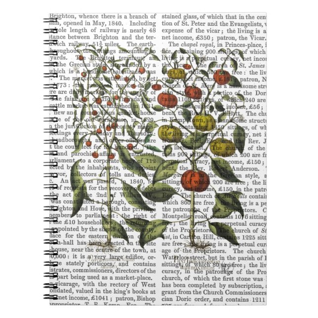 Caderno Espiral Pimentos 4 (Frente)