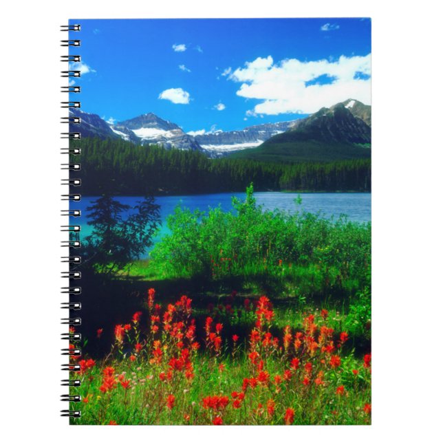 Caderno Espiral Pincéis Indígenas Flores Silvestres (Frente)