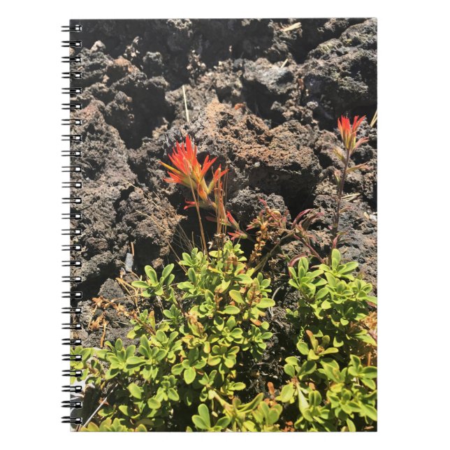 Caderno Espiral Pincel Indiano (Frente)