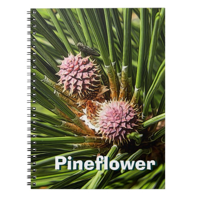 Caderno Espiral Pineflower (Frente)