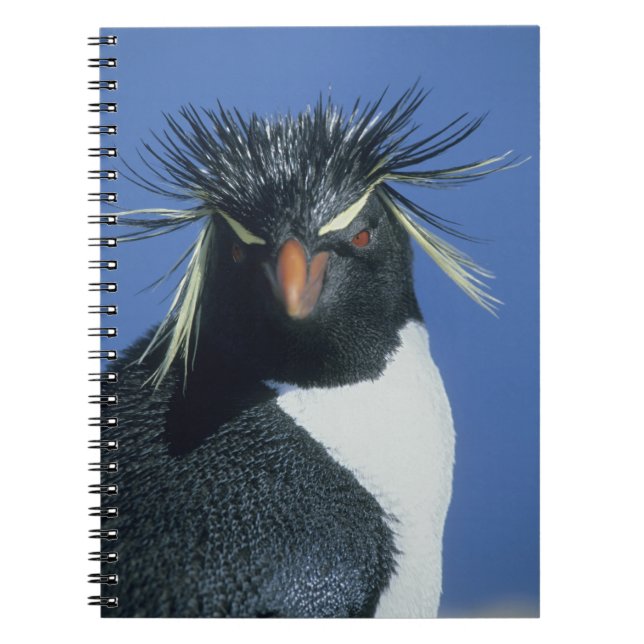 Caderno Espiral Pinguim-de-crista (Eudyptes chrysocome) (Frente)