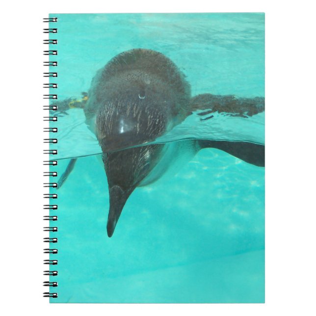 Caderno Espiral Pinguim Diving (Frente)