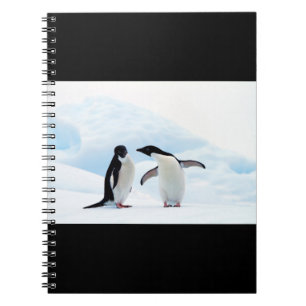 Caderno Espiral Pinguins Adelie