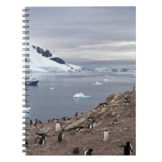 CADERNO ESPIRAL PINGUINS ALÉM DO MAR