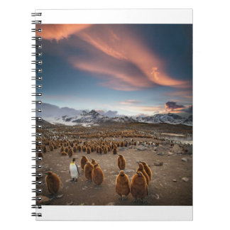Caderno Espiral Pinguins no Sunset