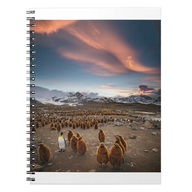Caderno Espiral Pinguins no Sunset (Frente)