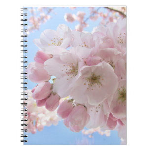 Caderno Espiral Pink Blossoms Blue Sky.